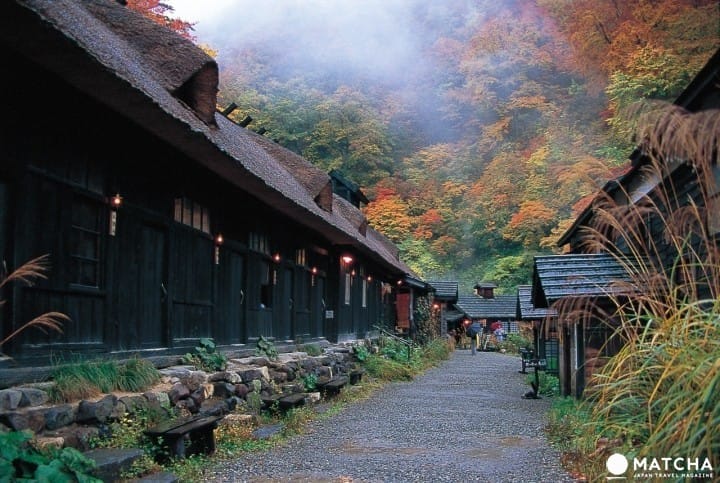 แช่ออนเซ็น ชมใบไม้เปลี่ยนสี ที่ภูมิภาคโทโฮคุ (Tohoku)