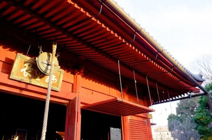 The Go-To Guide for Ueno Park: Key Attractions and Seasonal Experiences