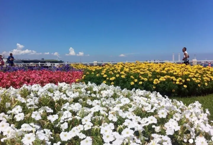 Yokohama Travel Guide: Discover Minato Mirai and 8 Other Spectacular Areas!