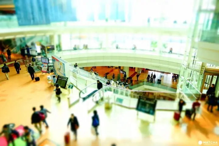 10 Pilihan Tempat Berbelanja Oleh-Oleh di Tokyo yang Dekat dengan Stasiun!