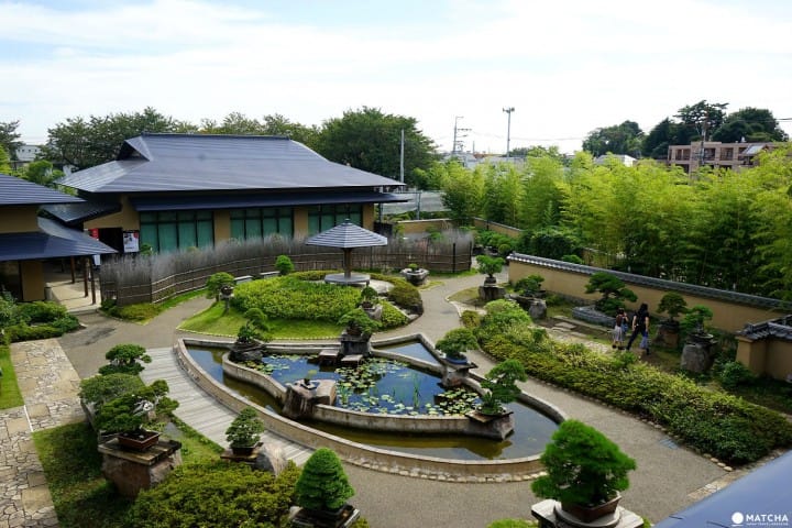 Musée d'art Omiya Bonsai