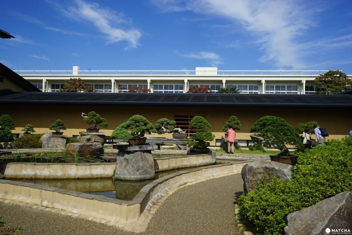 Musée d'art Omiya Bonsai