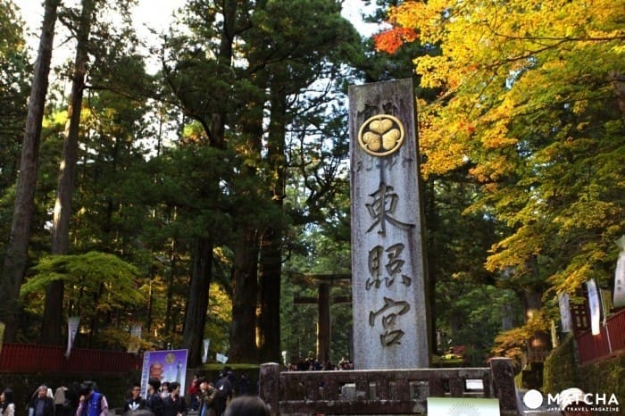 一日遊超簡單!東京近郊推薦景點總整理