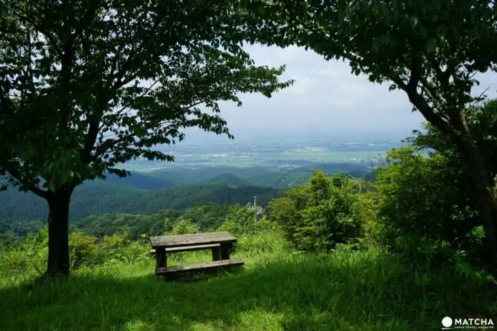 一日遊超簡單！東京近郊推薦景點總整理