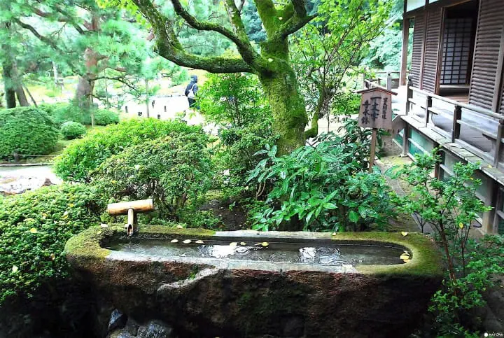 【京都】繪上生命讚歌滿是禪意的青蓮院門跡