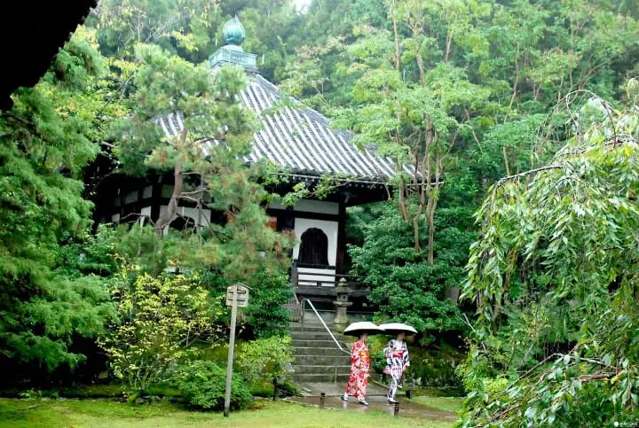 【京都】繪上生命讚歌滿是禪意的青蓮院門跡