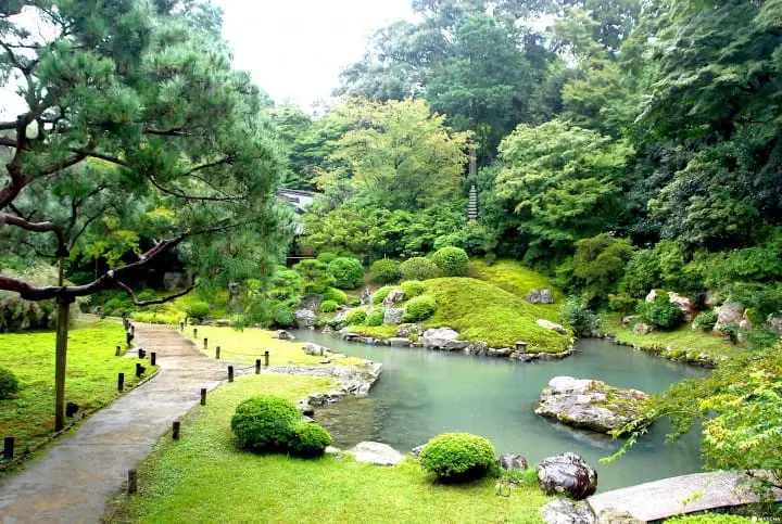 【京都】繪上生命讚歌滿是禪意的青蓮院門跡