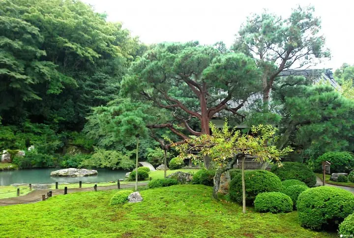 【京都】繪上生命讚歌滿是禪意的青蓮院門跡