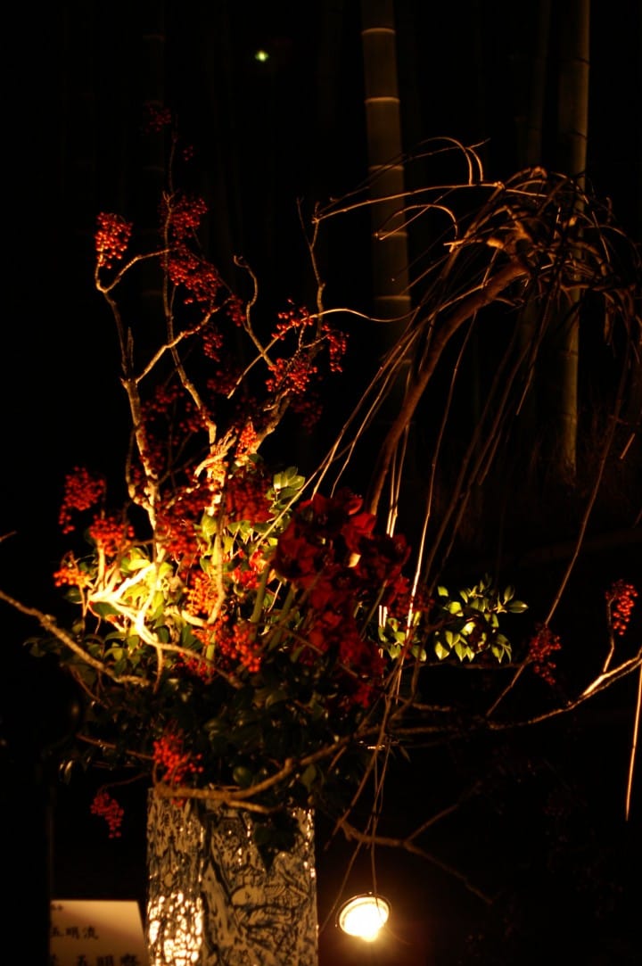 冬季的夜晚也能感受到满满的京都风情~岚山花灯路