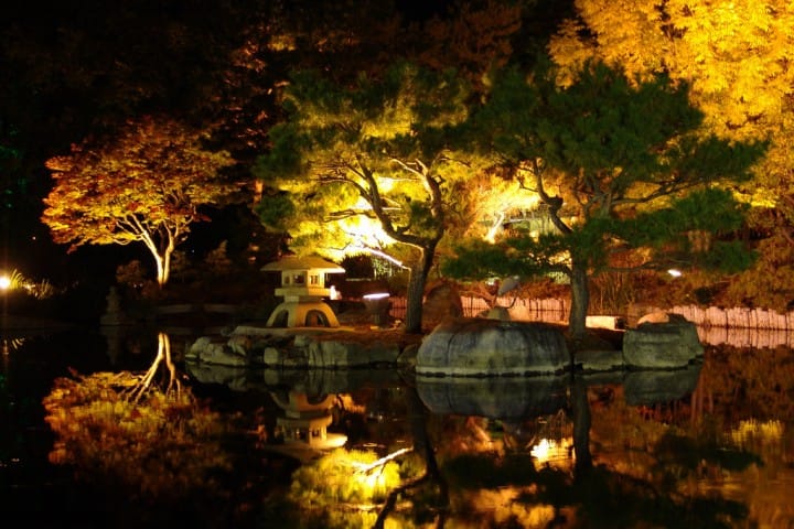 札幌市民的祕密花園「中島公園」一年四季都好玩
