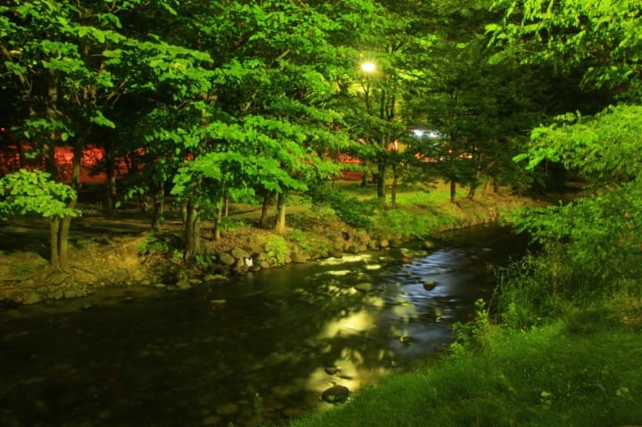 札幌市民的祕密花園「中島公園」一年四季都好玩