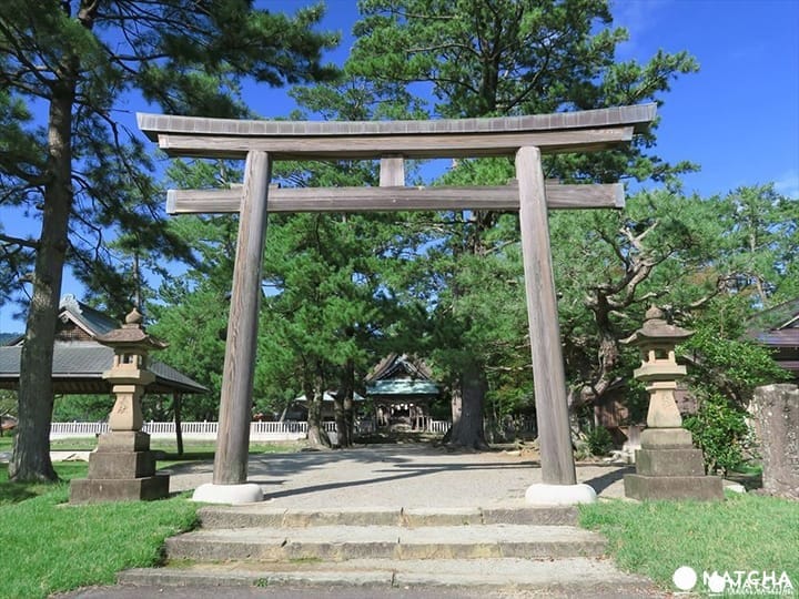 怎麼拜?拜什麼?日本寺廟神社疑問大解答