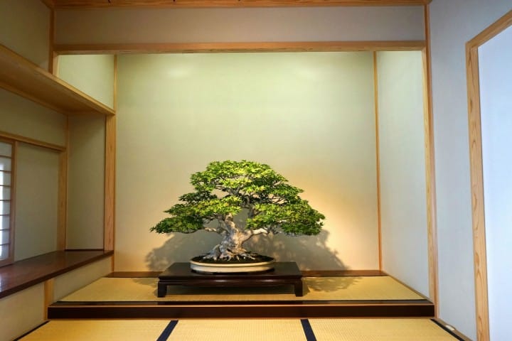 Musée d'art Omiya Bonsai