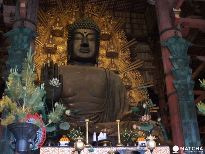 走进古都奈良10大名胜景点,领略1400年的风云历史