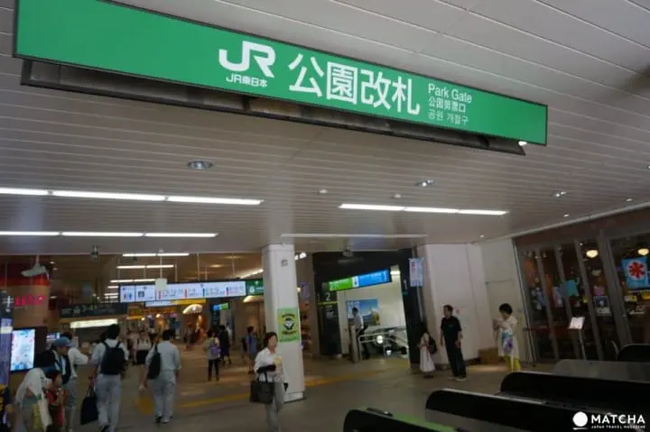 Ueno Travel Guide: Sightseeing Spots, Access, Food, and More!