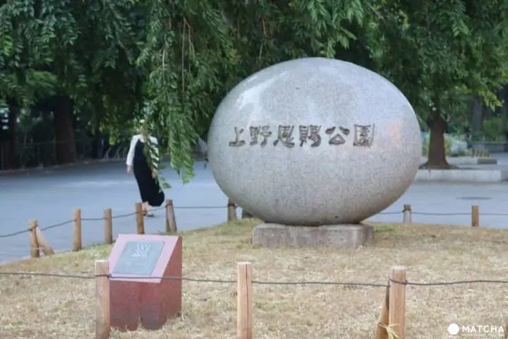 Ueno Travel Guide: Sightseeing Spots, Access, Food, and More!