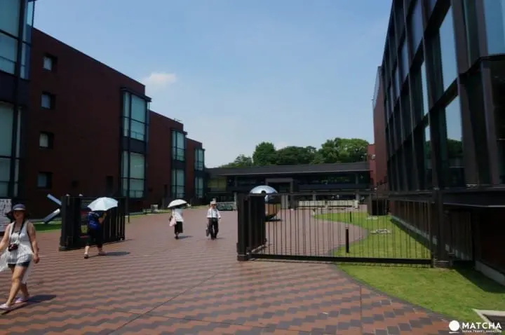 Ueno Travel Guide: Sightseeing Spots, Access, Food, and More!