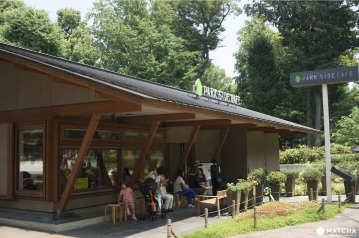 Ueno Travel Guide: Sightseeing Spots, Access, Food, and More!