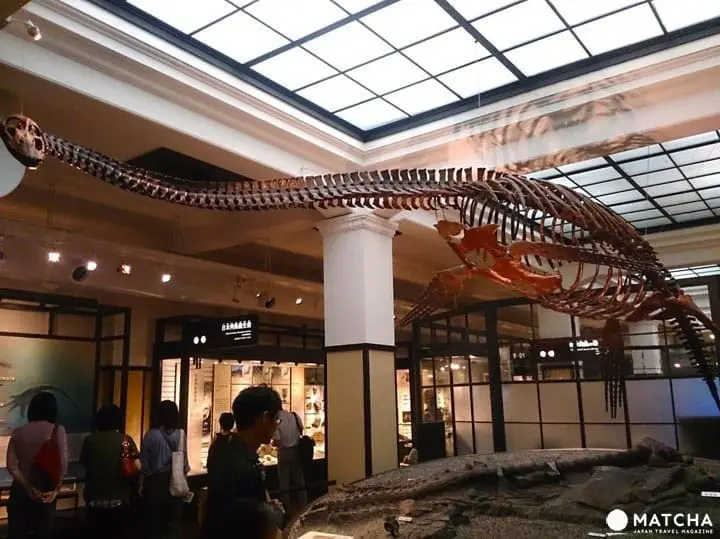 Ueno Travel Guide: Sightseeing Spots, Access, Food, and More!