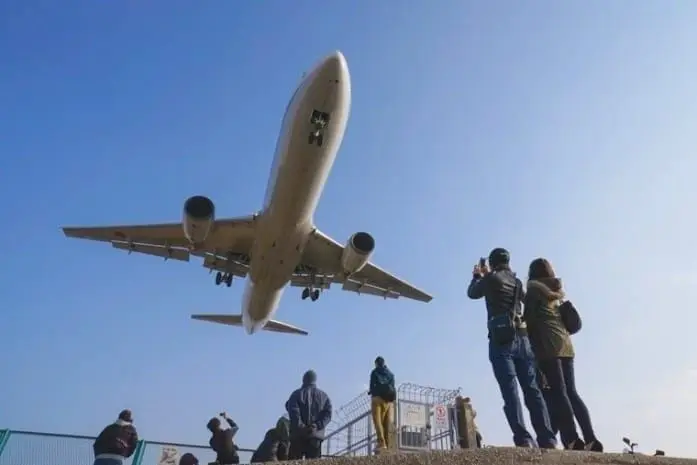 Ueno Travel Guide: Sightseeing Spots, Access, Food, and More!