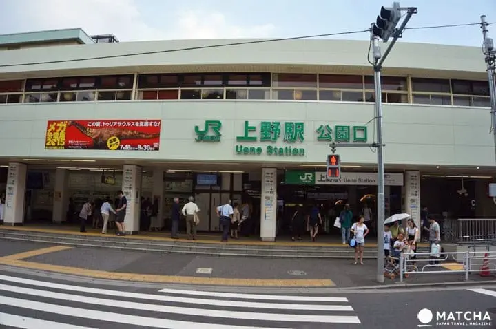 Ueno Travel Guide: Sightseeing Spots, Access, Food, and More!