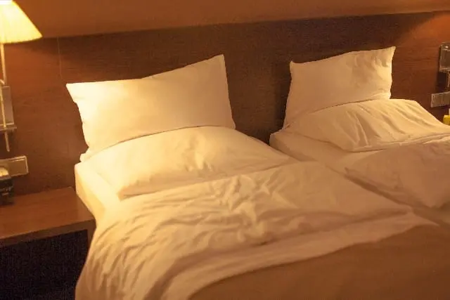 Ueno Travel Guide: Sightseeing Spots, Access, Food, and More!