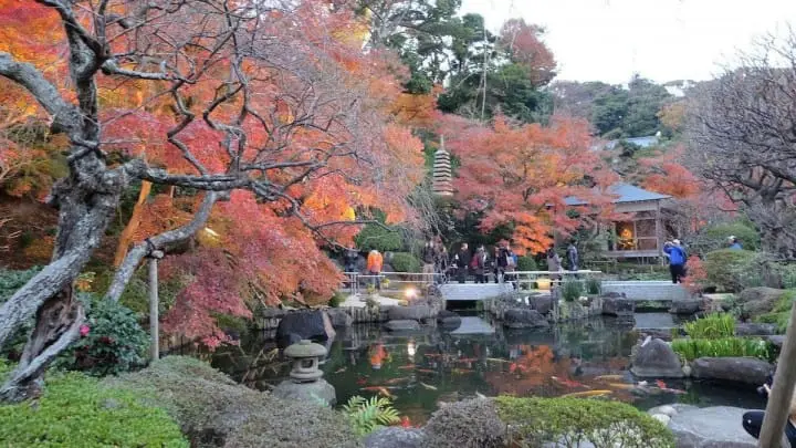 神奈川100%ガイド。横浜、鎌倉、葉山、箱根などそれぞれの見どころまとめ
