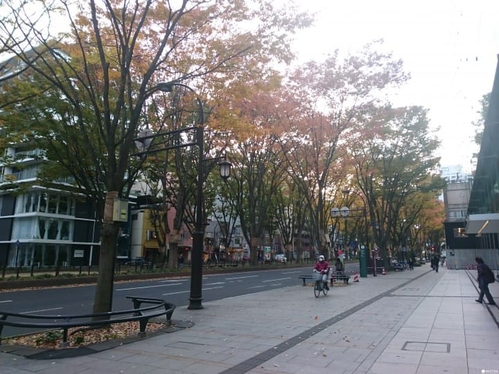 【东北宫城】伊东丰雄打造的知性休憩场所--仙台媒体中心