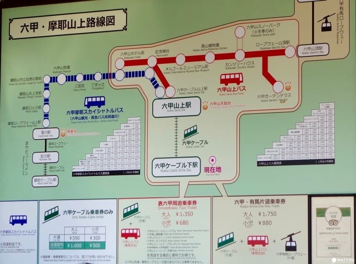 【兵庫 神戶】賞楓好去處:六甲山植物園&六甲山花園