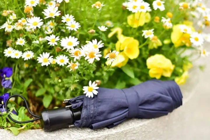 観光の前に要チェック！東京の天気・気温と服装について【保存版】