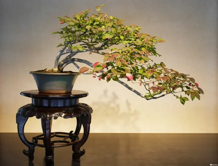 抹茶精選21款和風伴手禮 浴衣、浮世繪、木偶人，種類眾多任您選