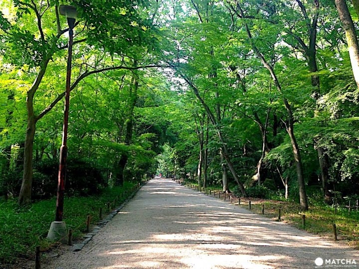 【京都】下鸭神社、名代豆饼、鸭川跳石一次满足的出町柳半日游!