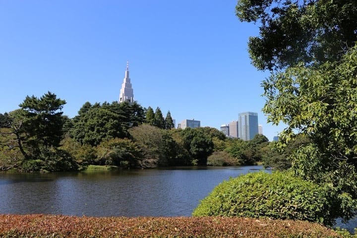 3 Ways to Get to Shinjuku Gyoen