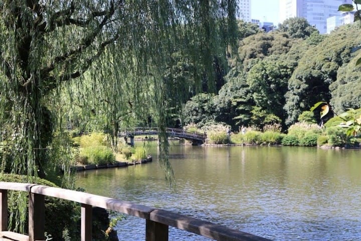 3 Ways to Get to Shinjuku Gyoen