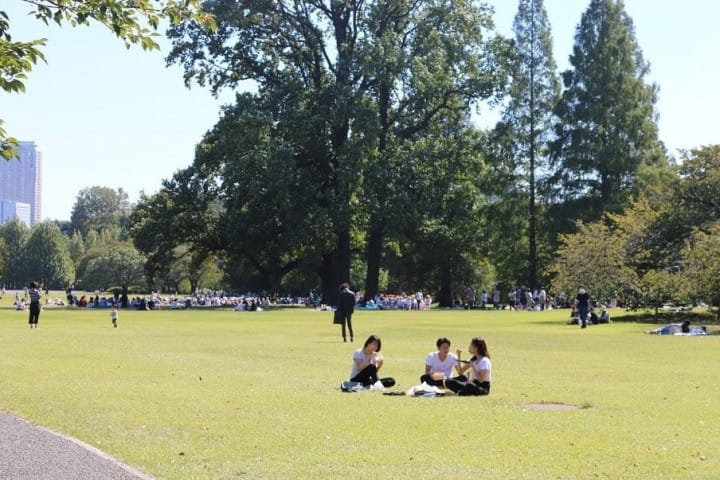 3 Ways to Get to Shinjuku Gyoen