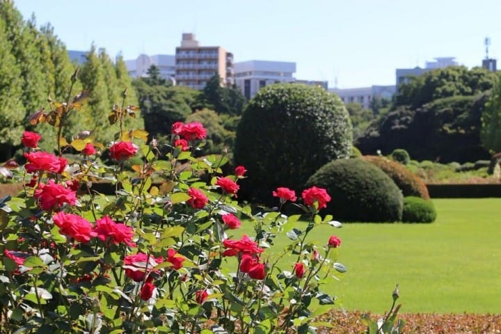 3 Ways to Get to Shinjuku Gyoen