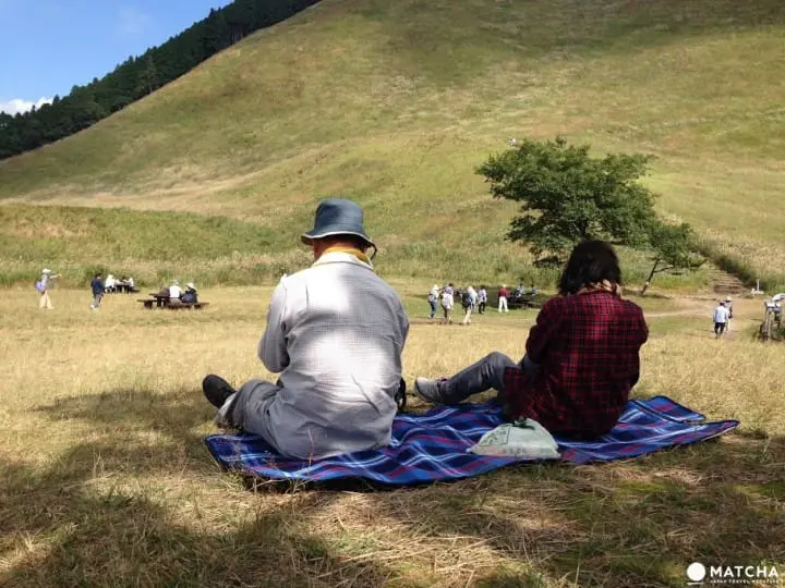 奈良隱藏版美景！曾爾高原晴空散策、舒壓泡溫泉