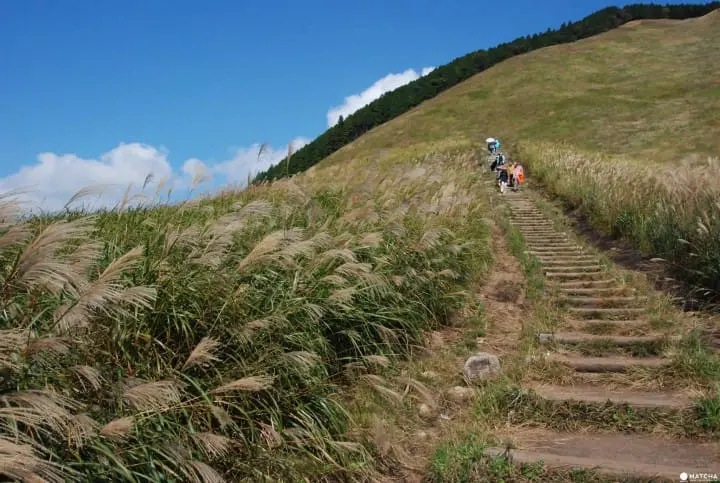 奈良隱藏版美景！曾爾高原晴空散策、舒壓泡溫泉