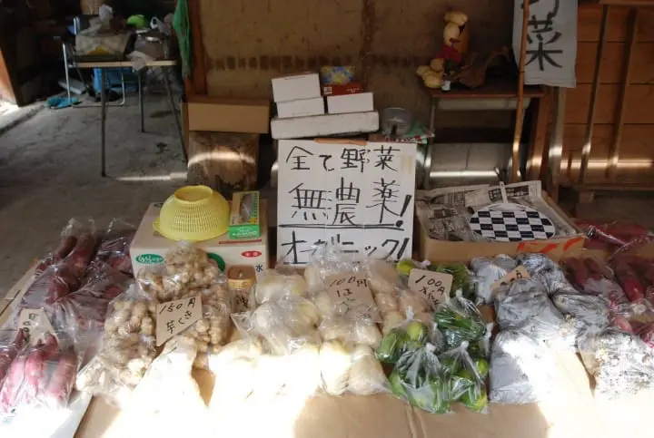 奈良隱藏版美景！曾爾高原晴空散策、舒壓泡溫泉