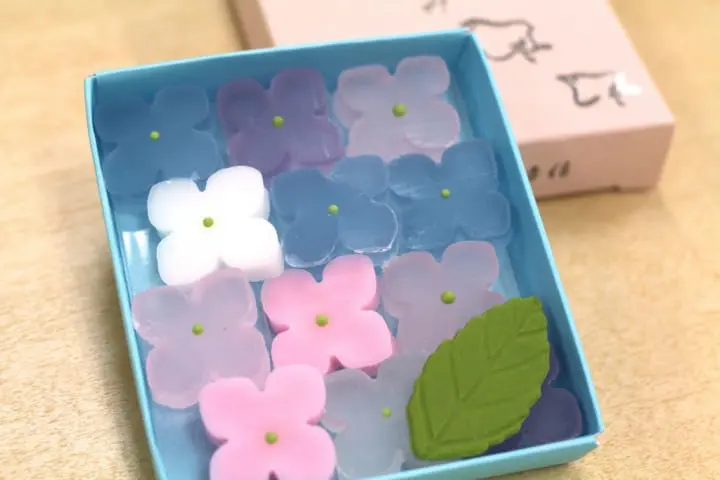 【完成】日本のことば辞典「寒天」