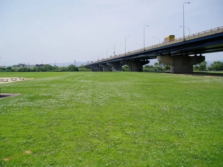 【完成】日本のことば辞典「寒天」