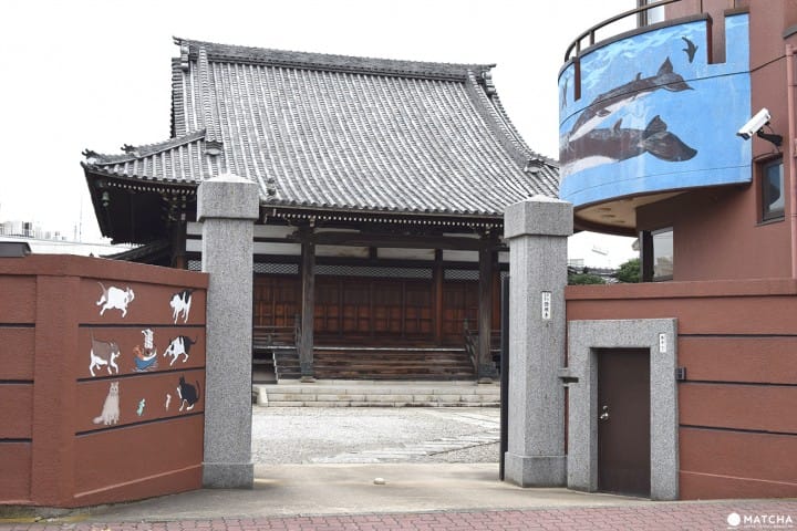 お寺の中にプラネタリウム?葛飾区立石證願寺の「プラネターリアム銀河座」