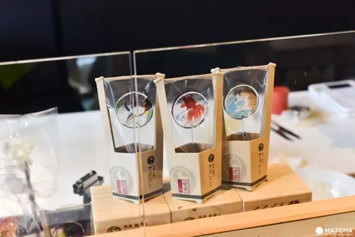 跟著『平凡不簡單校對女王』做事實確認走訪劇中場景吧!