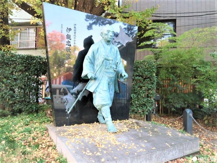 江戸相撲発祥に鳥居のトンネルまで!下町を代表する神社「富岡八幡宮」