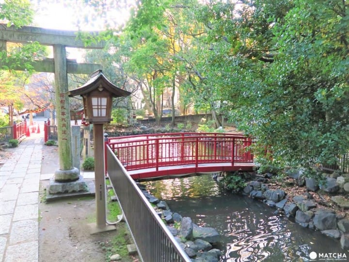 江戸相撲発祥に鳥居のトンネルまで!下町を代表する神社「富岡八幡宮」