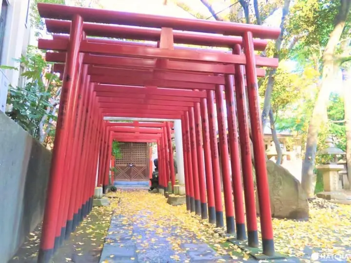 江戸相撲発祥に鳥居のトンネルまで！下町を代表する神社「富岡八幡宮」