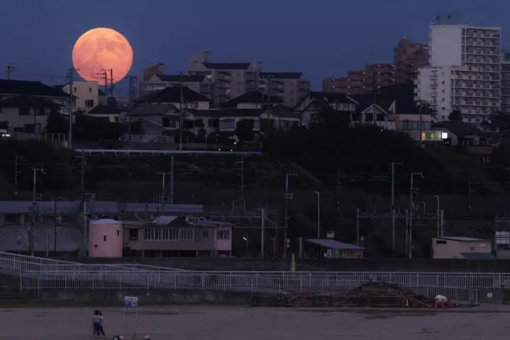 健精神！你聽過這些日本秋天的「季語」與「風物詩」嗎 ？
