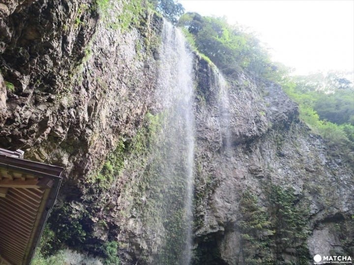 ทัศนียภาพอันลึกลับพบได้ในป่าลึกที่「โอกิ」UNESCO Geopark