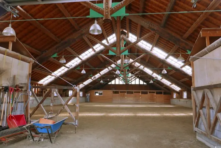 冬季北海道有什么好玩的！无经验也能体验无系绳雪地驾马