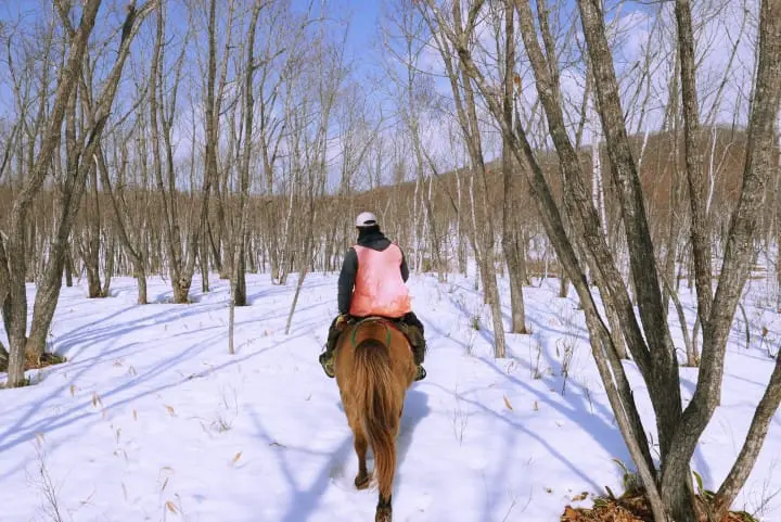 冬季北海道有什么好玩的！无经验也能体验无系绳雪地驾马